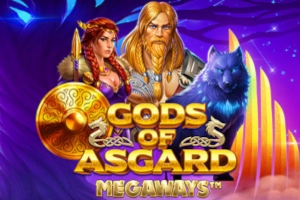 Арт слота Gods Of Asgard Megaways